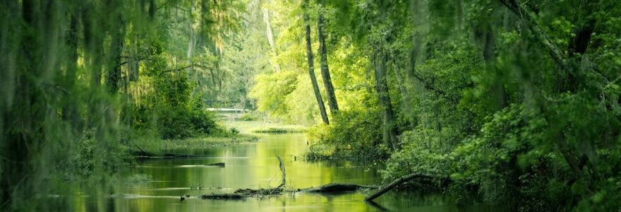 visiter le marais poitevin en 3 jours